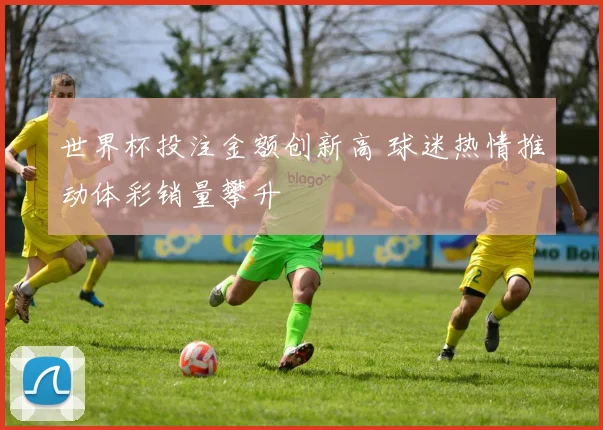 世界杯投注金额创新高 球迷热情推动体彩销量攀升