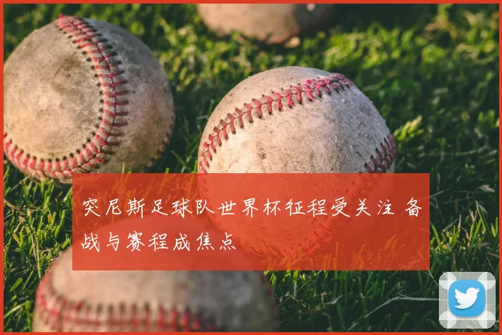 突尼斯足球队世界杯征程受关注 备战与赛程成焦点